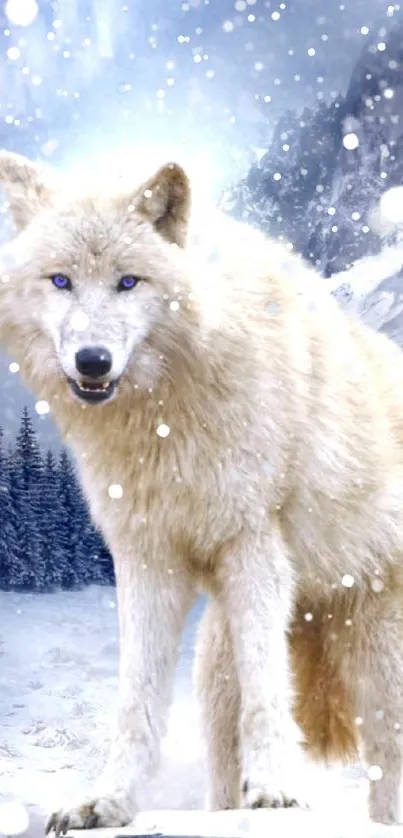 Majestic white wolf standing in snowy mountains with forest backdrop.