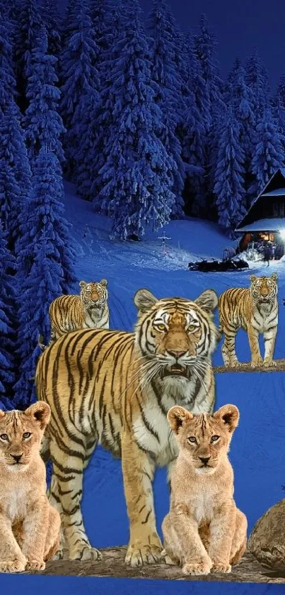 Tigers and cubs in snowy forest at night, creating a serene wilderness wallpaper.