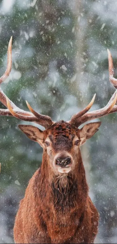 Majestic stag in snowy forest with antlers displayed and falling snow.