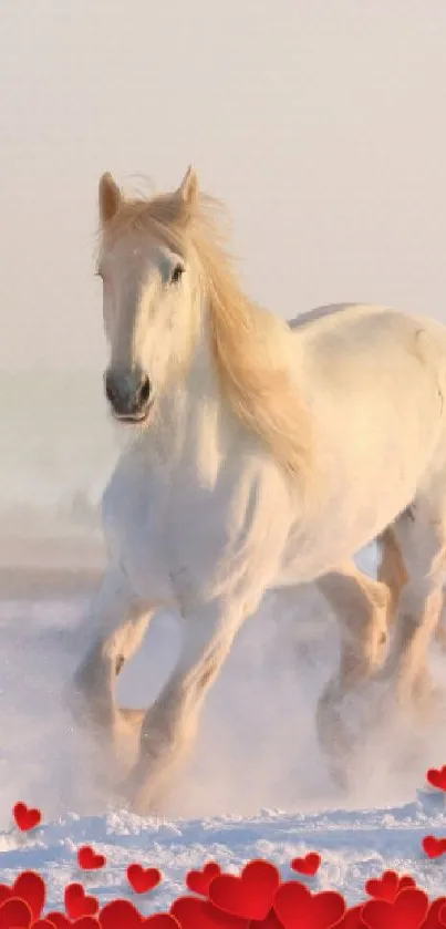 White horse in snow with red heart design.