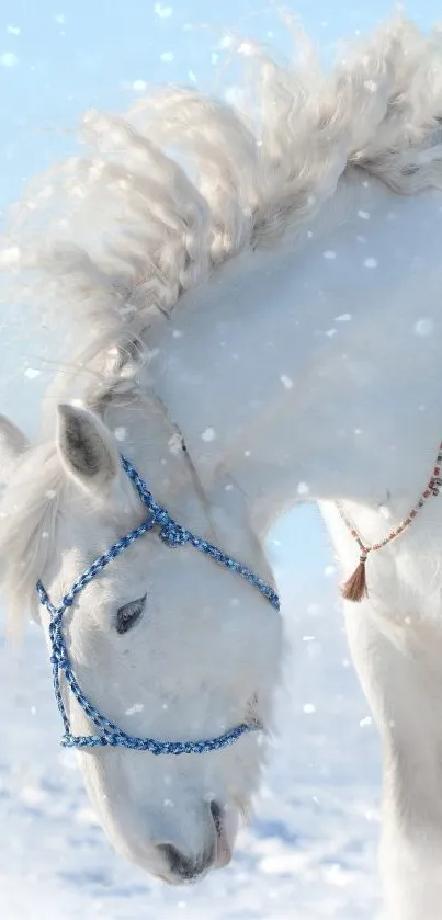 A majestic white horse adorned with beaded harness, standing in the snow.