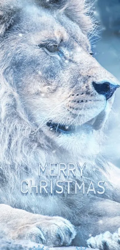 Majestic lion in snow with 'Merry Christmas' message.