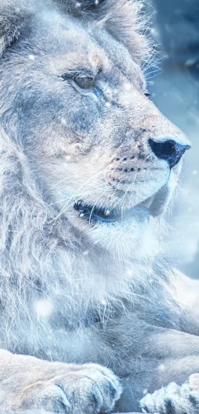 Majestic lion in a serene winter setting, with icy gray tones.