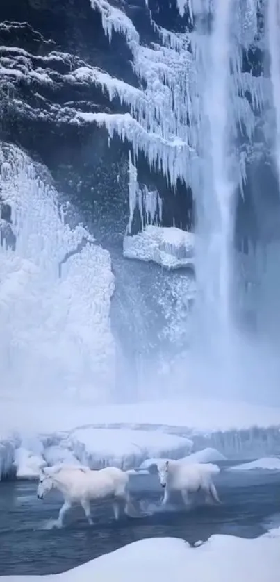 Majestic white horses by a frozen waterfall in winter landscape.