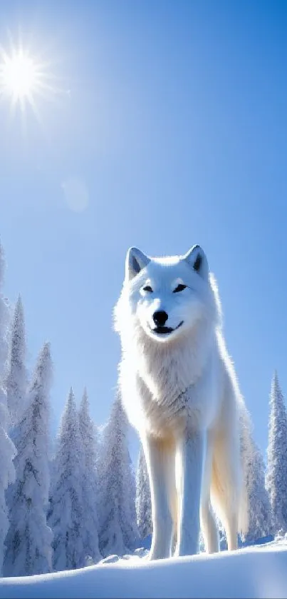 White wolf standing in a snowy forest under a bright blue sky.