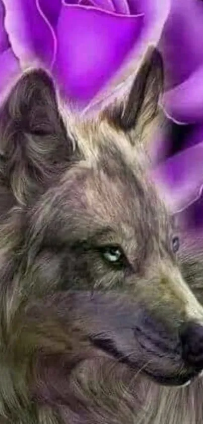 Majestic wolf with purple rose background wallpaper.