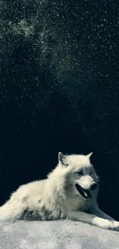 White wolf resting under a starry dark blue sky wallpaper.