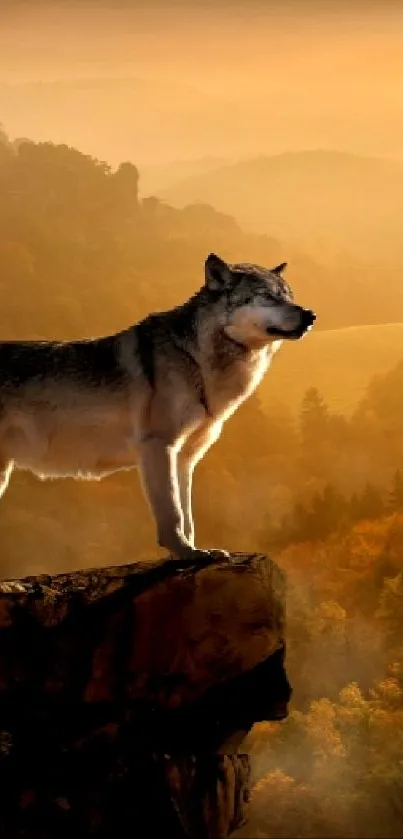 A wolf stands on a cliff with a sunset background, radiating natural beauty.