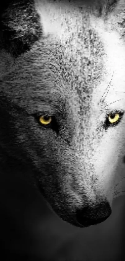 Grayscale close-up of a wolf with striking yellow eyes, exuding mystery.