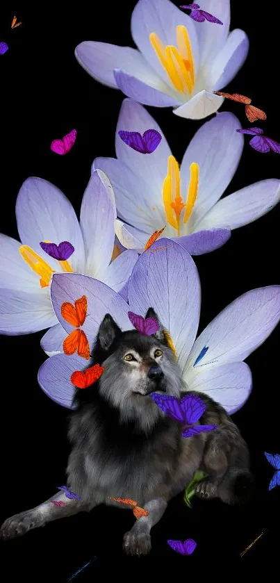 Majestic wolf amidst floral and butterfly design on black background.