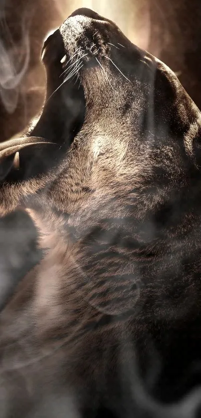 Majestic wolf howling with smoky effects in a dark background.