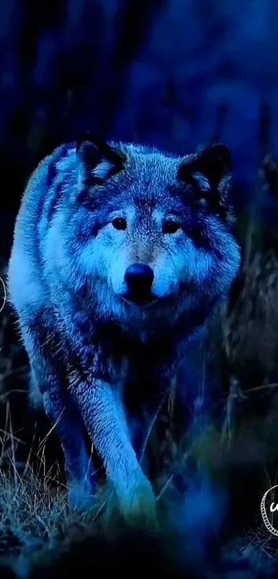 Majestic wolf illuminated in blue, roaming a mystical forest.