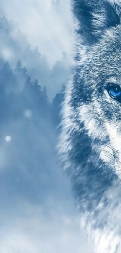 Majestic wolf wallpaper with blue forest backdrop.