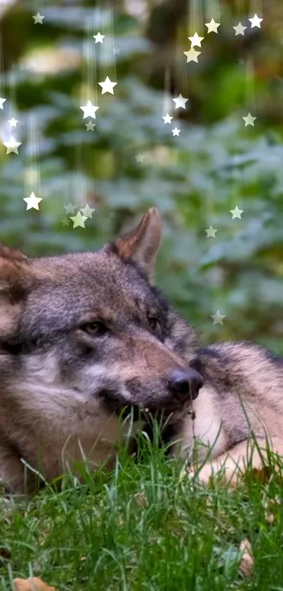 A majestic wolf rests amid vibrant green forest with starry accents.