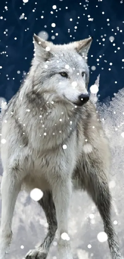 Wolf standing in frosty, icy blue environment.