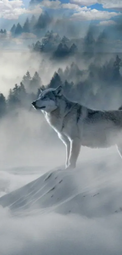 Majestic wolf standing in a misty, snowy forest with trees in the background.