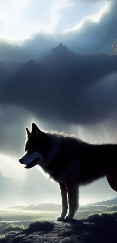 Silhouette of a wolf against misty mountainous sky.