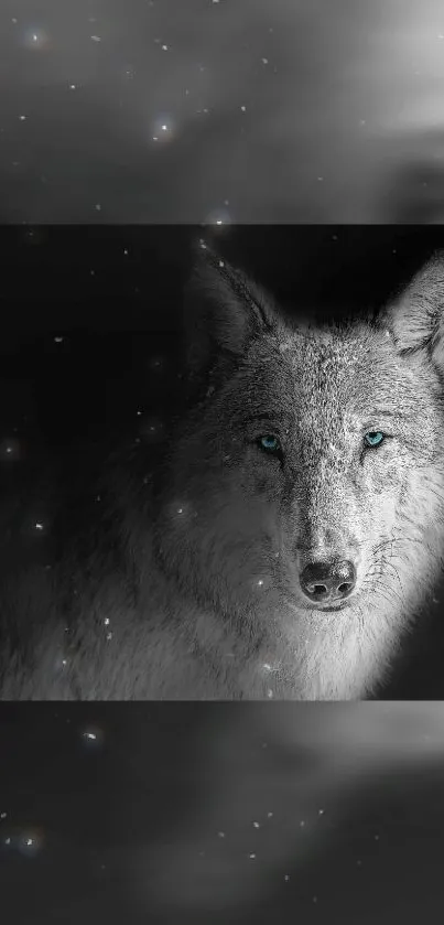 Majestic wolf with blue eyes in a dark starry night sky.