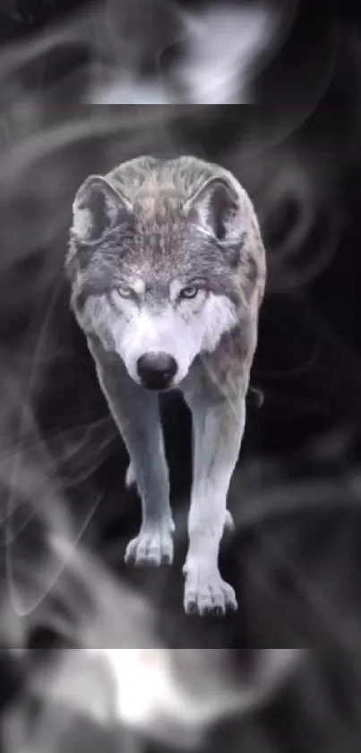 Majestic wolf in smoky aura mobile wallpaper.