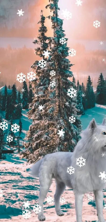 White wolf in a snowy forest during sunset with a warm glow.