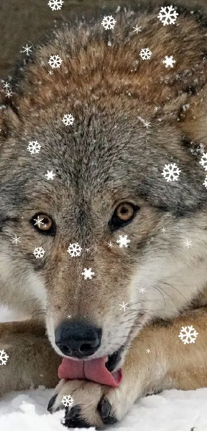 Majestic wolf on snow in a serene forest setting.