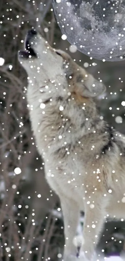 Wolf howling at the snowy moon with snowfall around.