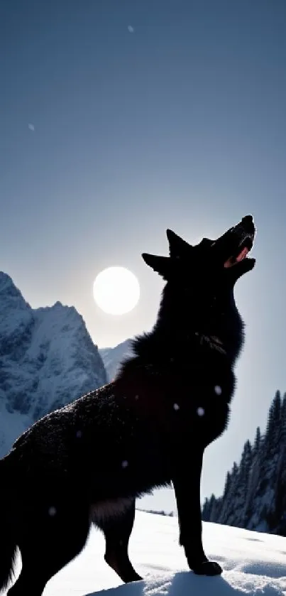 Silhouetted wolf against snowy mountains and sun.