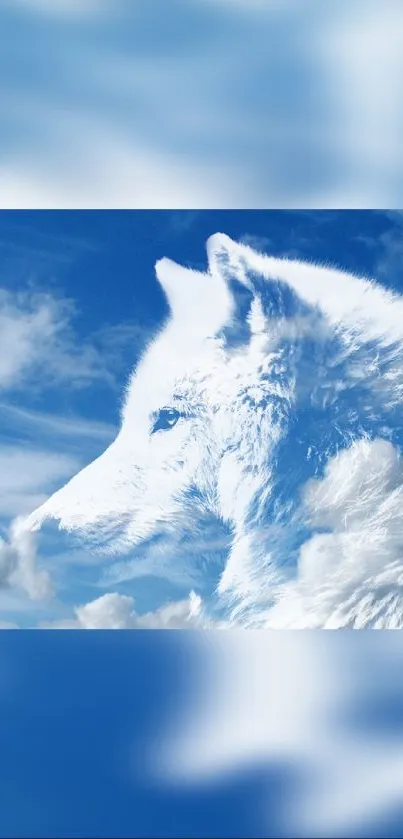 Majestic white wolf immersed in a sky blue background with clouds.