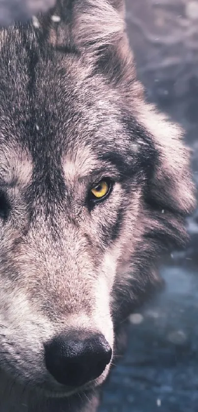 Majestic wolf in a serene winter forest setting for mobile wallpaper.