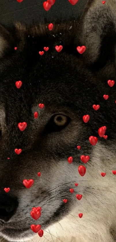 Close-up of a majestic wolf in the forest as a mobile wallpaper.