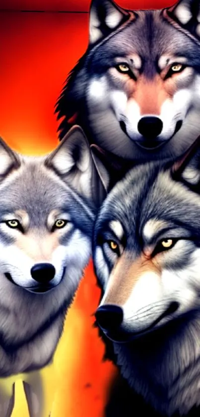 Three majestic wolves on a vibrant orange background, perfect for mobile wallpaper.