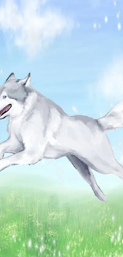 Majestic wolf leaping in a vibrant, grassy field under a clear sky.