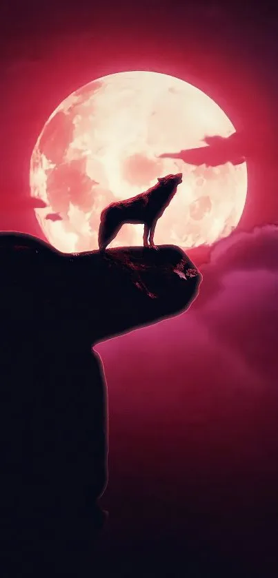 Wolf silhouette against full pink moon and night sky wallpaper.