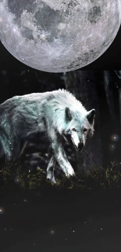 Majestic wolf under a full moon in a dark forest.