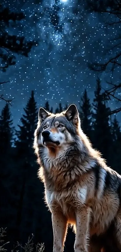 Majestic wolf stands under a starry sky in a dark forest.