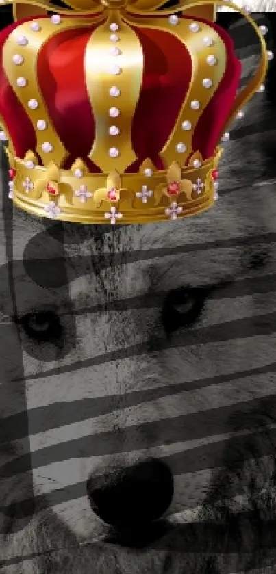Wolf adorned with a royal crown wallpaper.