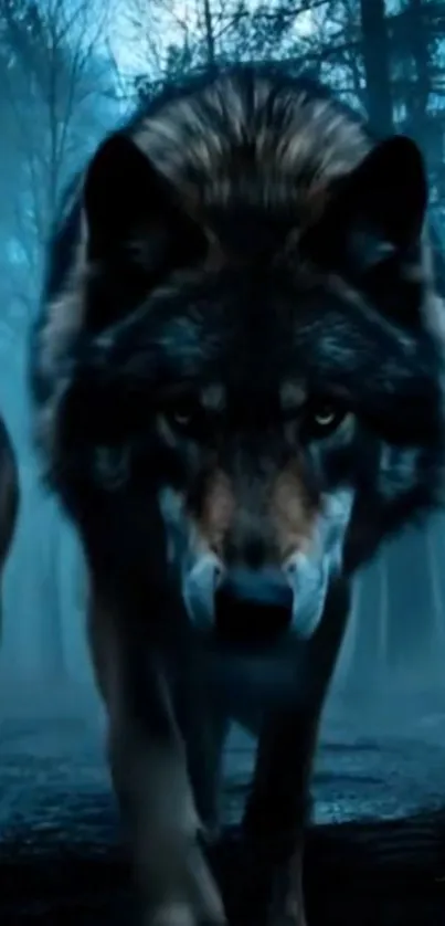 Majestic wolves prowling through a misty forest in the dark.