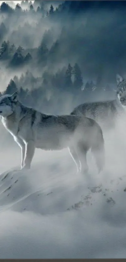 Wolves standing in a snowy, foggy forest scene.