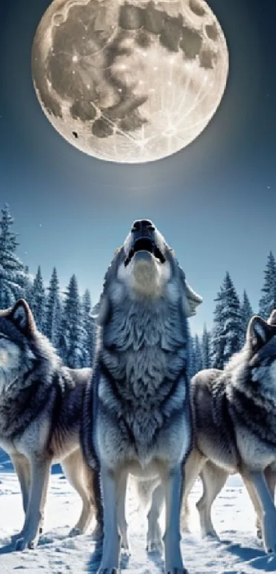 Three wolves howling beneath a bright full moon in a snowy winter forest.