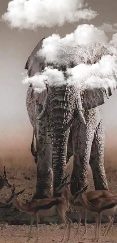 Mammal Organism Grassland Live Wallpaper