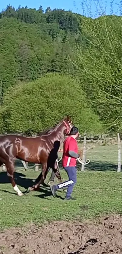 Man leading horse through vibrant green landscape.