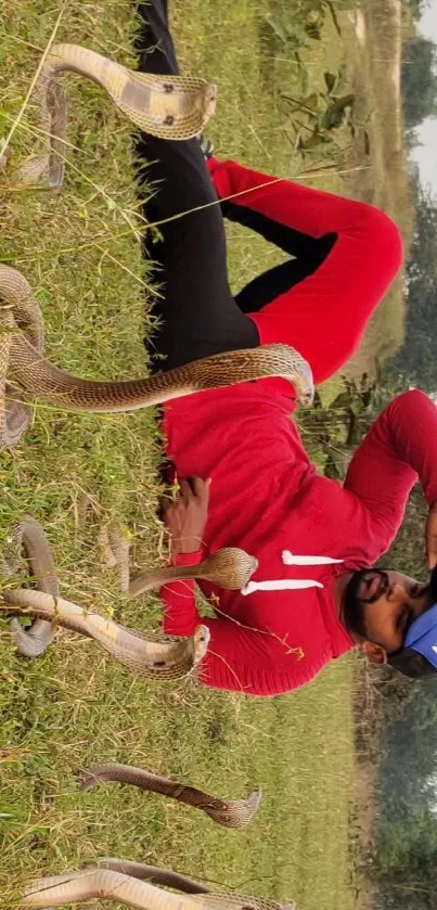 A man in red poses confidently with cobras in a green field.