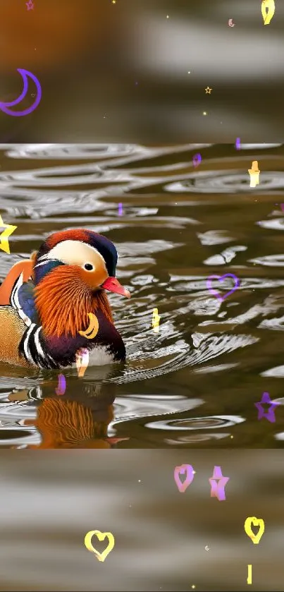 Colorful Mandarin duck on water with star accents.