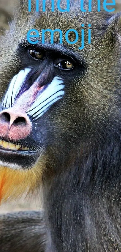 Mandrill with colorful face and hidden emoji.