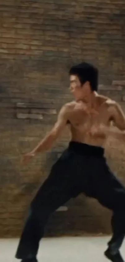 Legendary martial artist poses dynamically against a rustic brick wall.