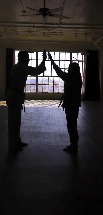 Silhouette of two martial artists high-fiving in front of a large window.