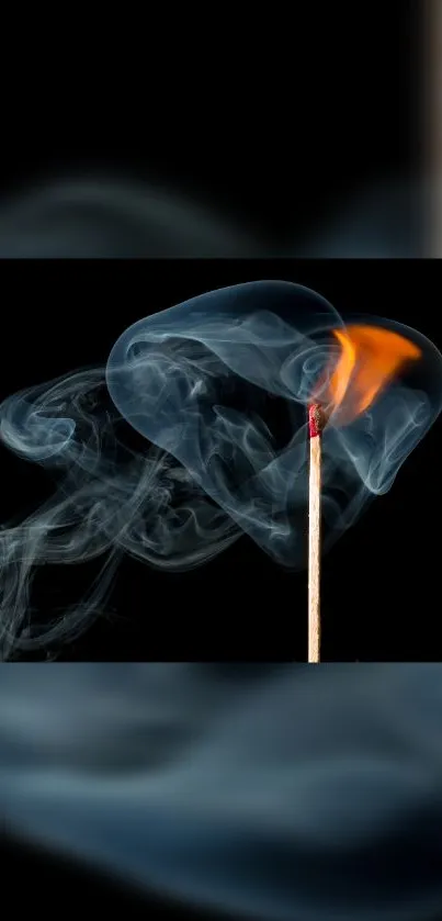 Matchstick burning with swirling smoke on a dark background.