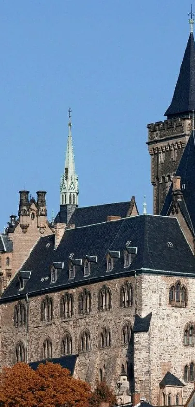 Medieval castle with spires under blue sky, mobile wallpaper.