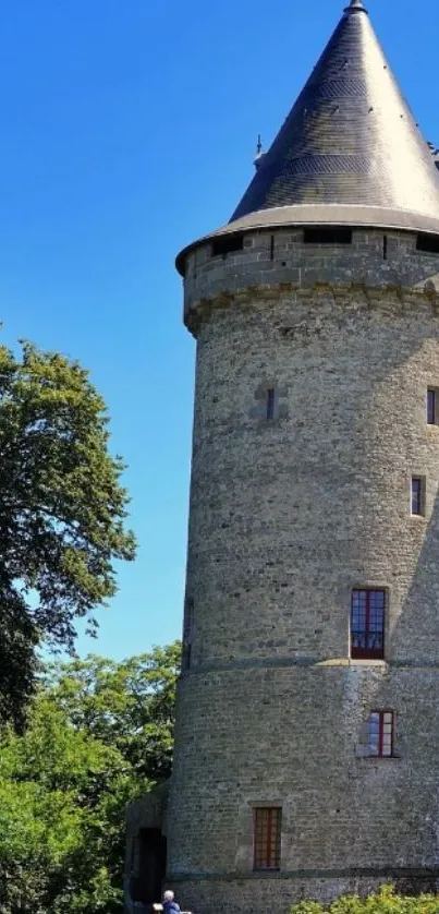 Medieval castle tower with a blue sky backdrop and lush greenery.