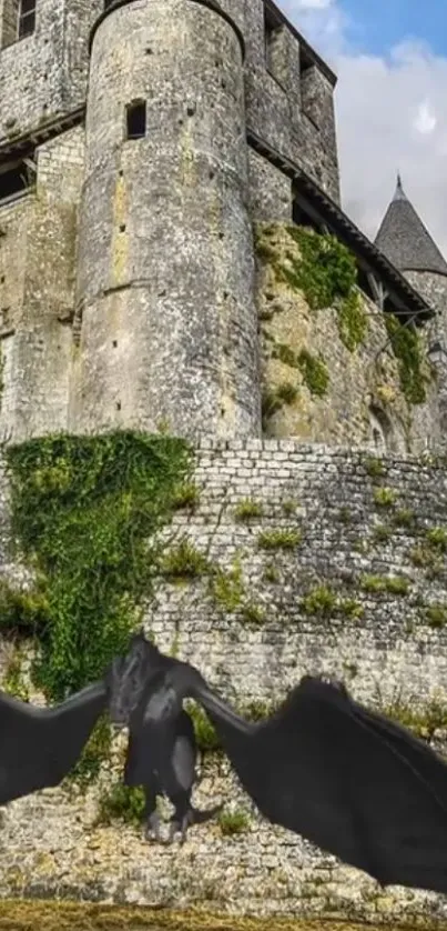 Dragon flying near an ivy-covered medieval castle wall.